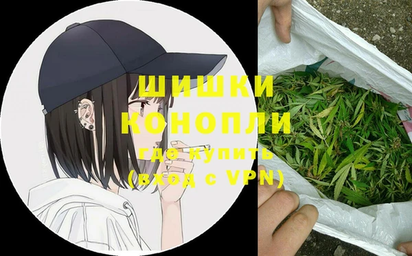 PSILOCYBIN Аркадак