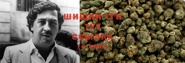 гашик Арсеньев