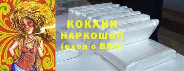 PSILOCYBIN Аркадак