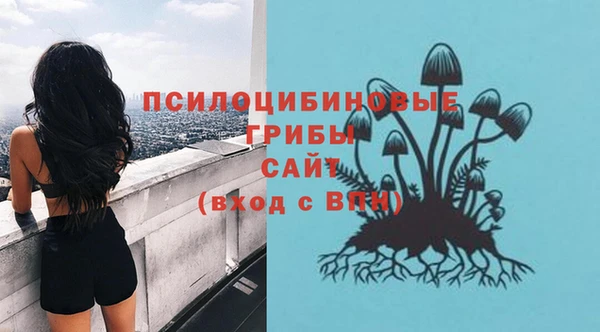 гашик Арсеньев